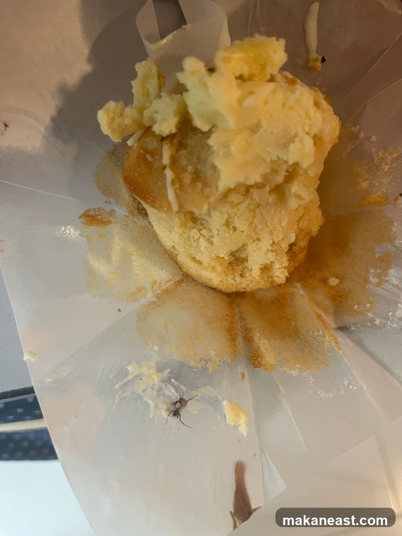 Muffin with an Ant