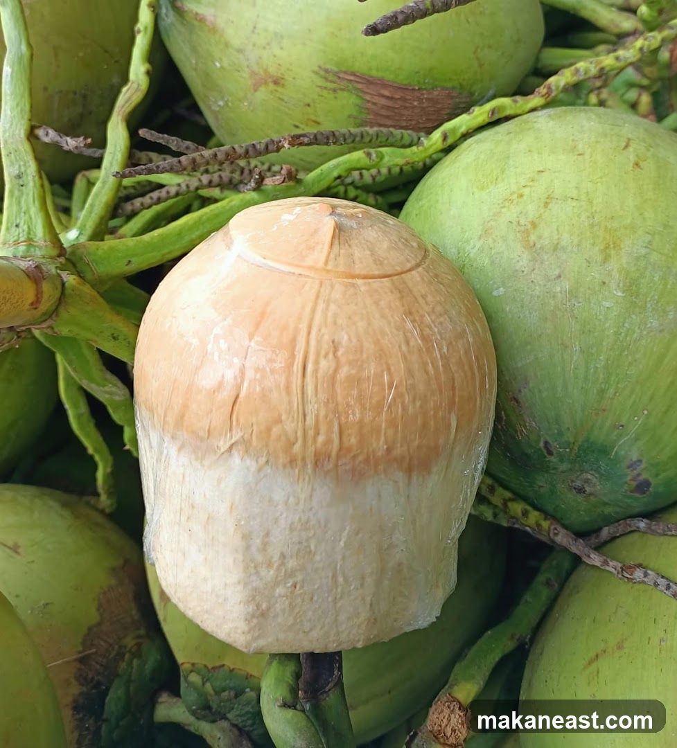 Fresh Coconuts