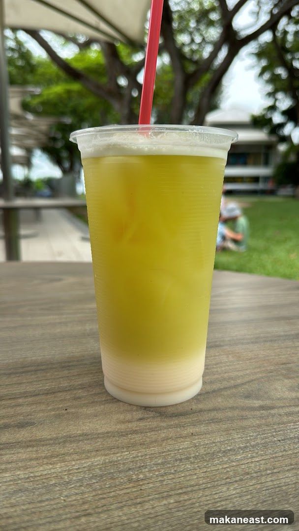 Sugarcane Juice