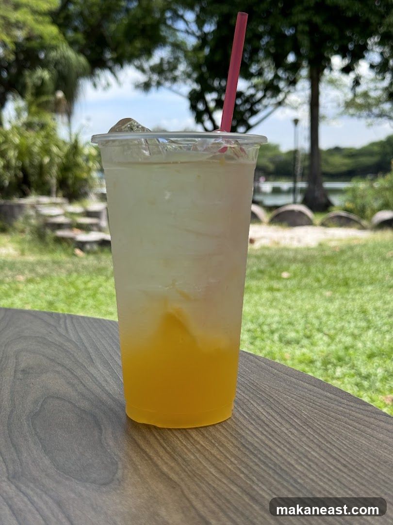 Iced Drink with Orange Juice and Ice