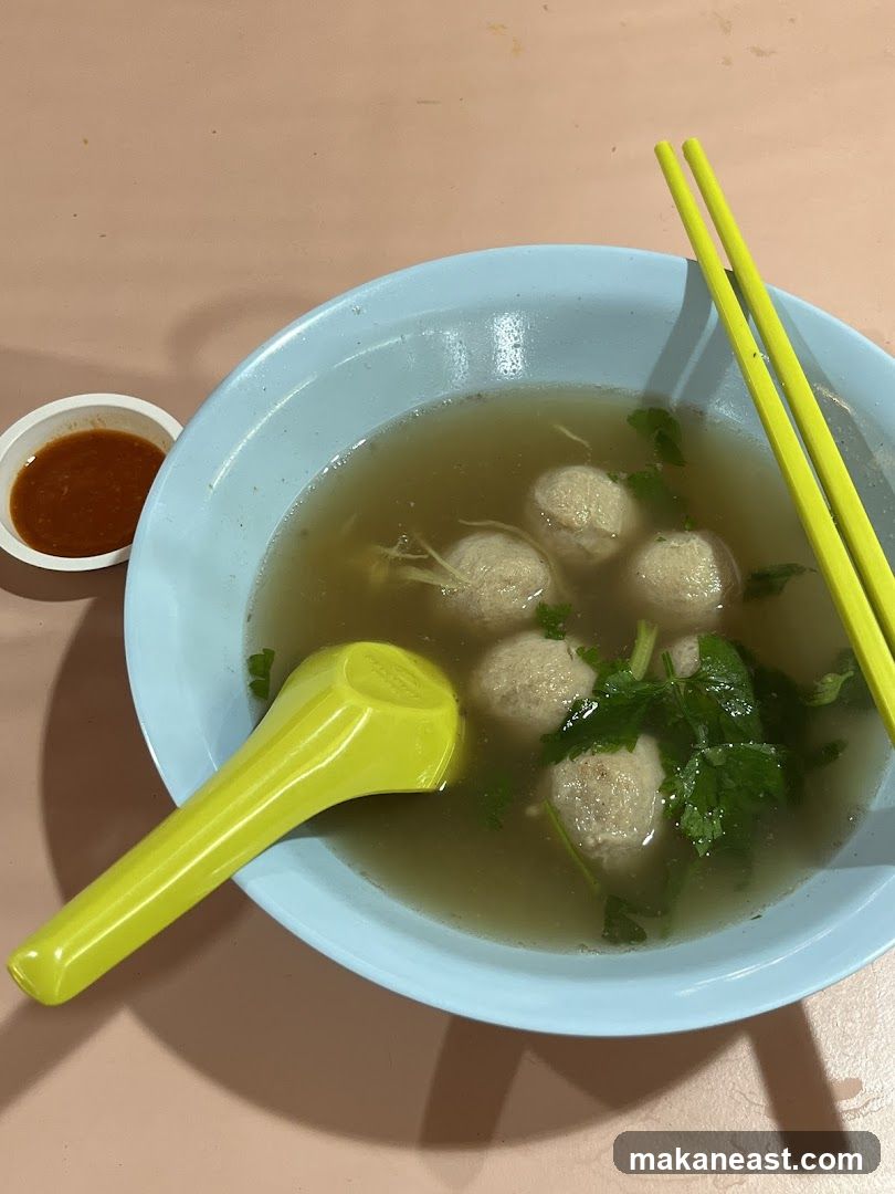 Bowl of Meatball Soup