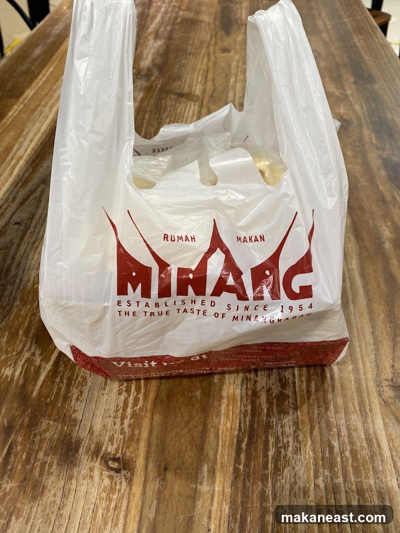 Takeaway Bag