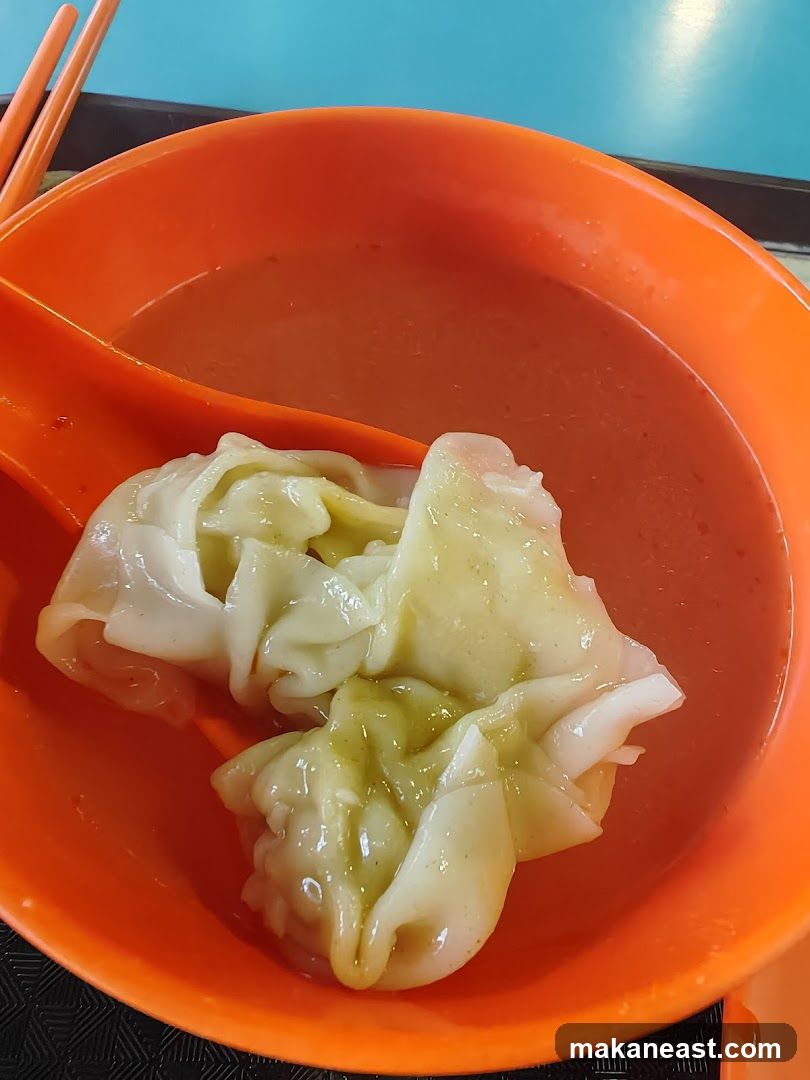 Wonton Soup
