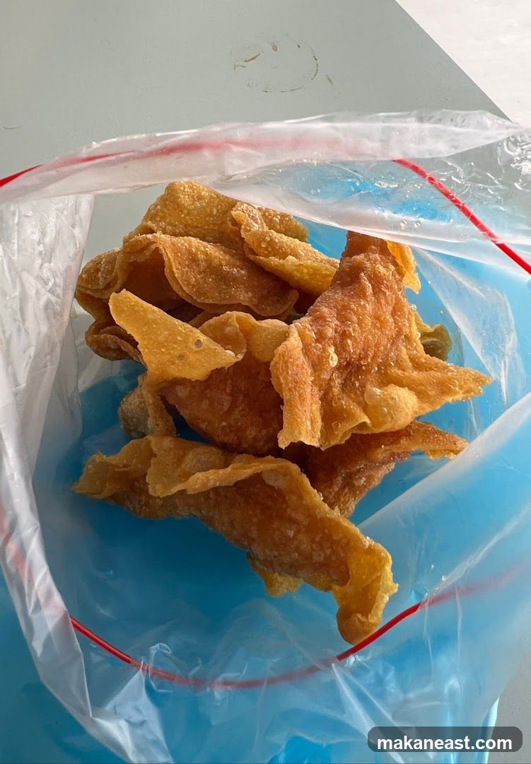 Fried Wonton Chips