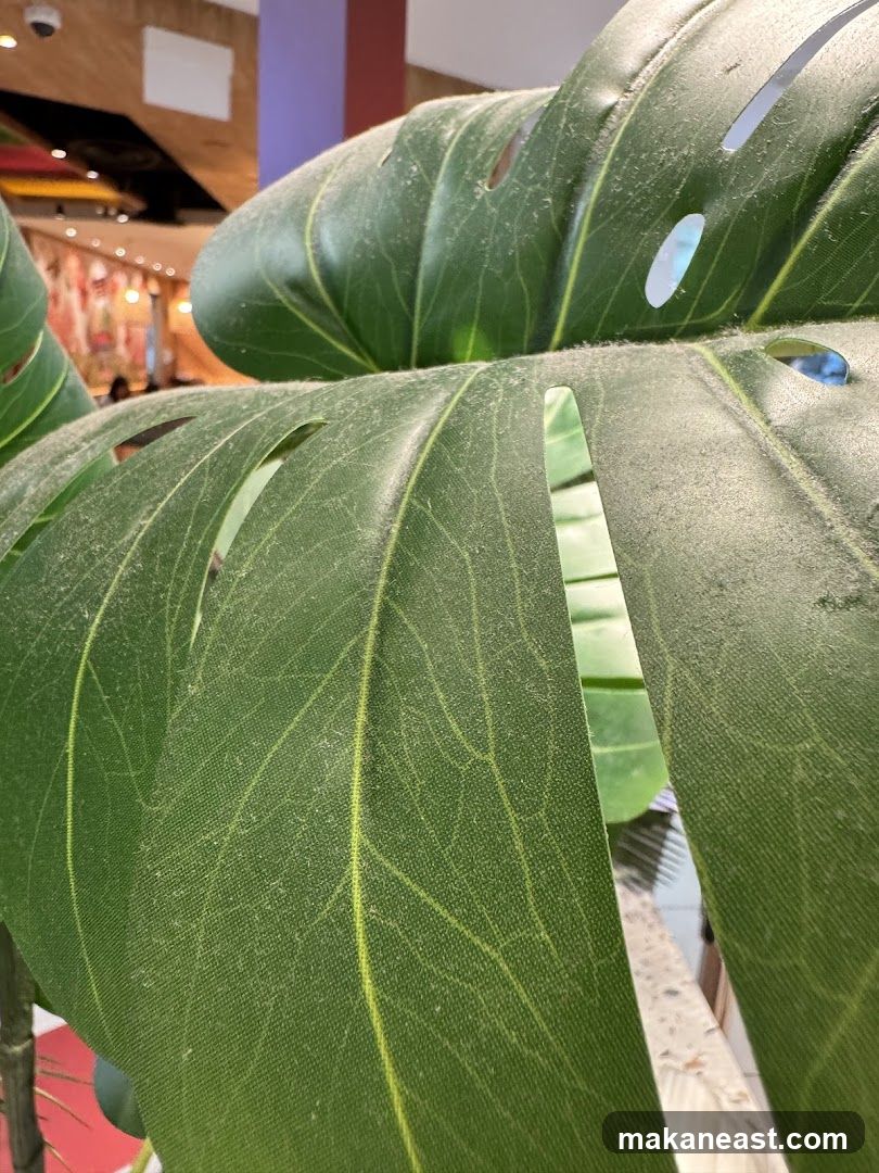 Close-up of a dusty artificial monstera leaf