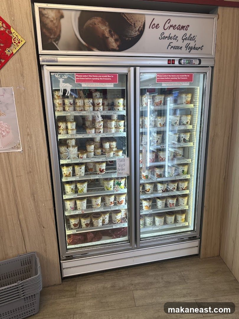 Ice Cream Freezer