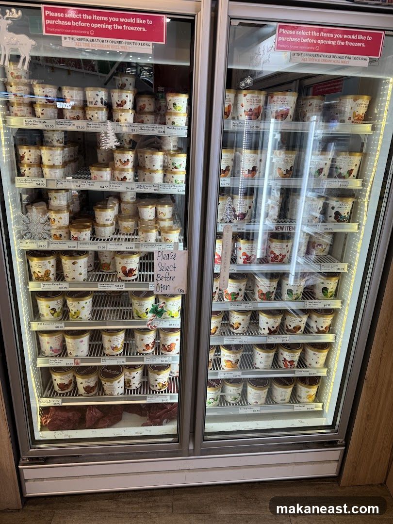 Ice Cream Freezers