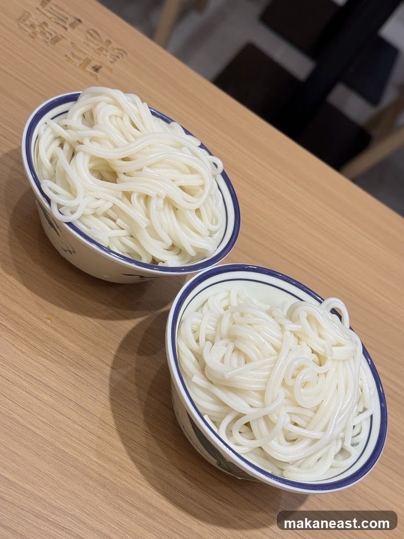 Two Bowls of Noodles