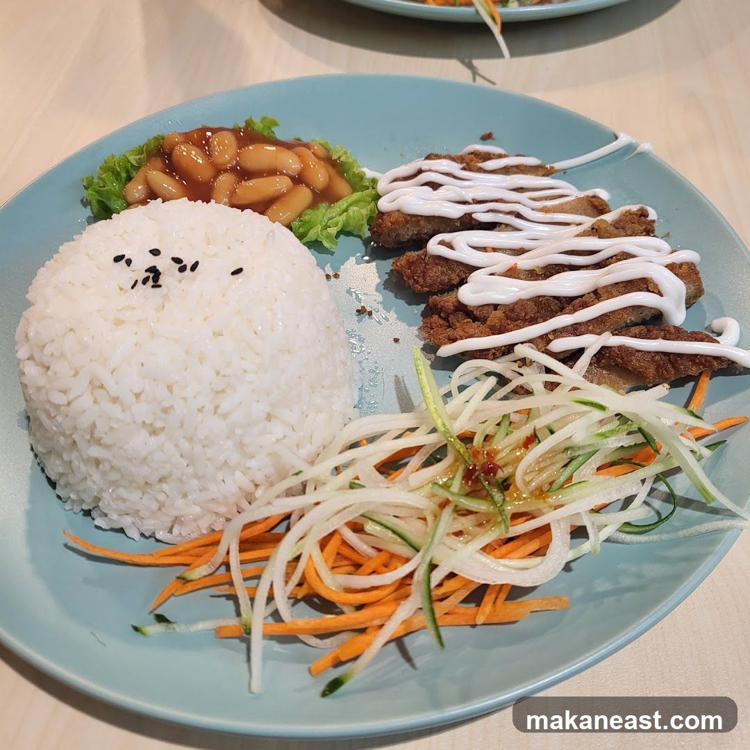 Fried Chicken with Rice and Salad