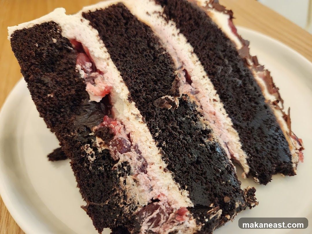 Chocolate Cherry Cake Slices
