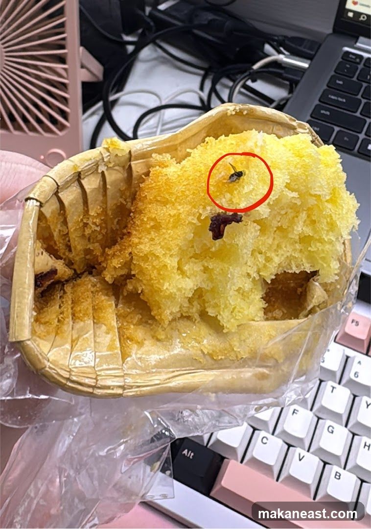 Muffin with a fly