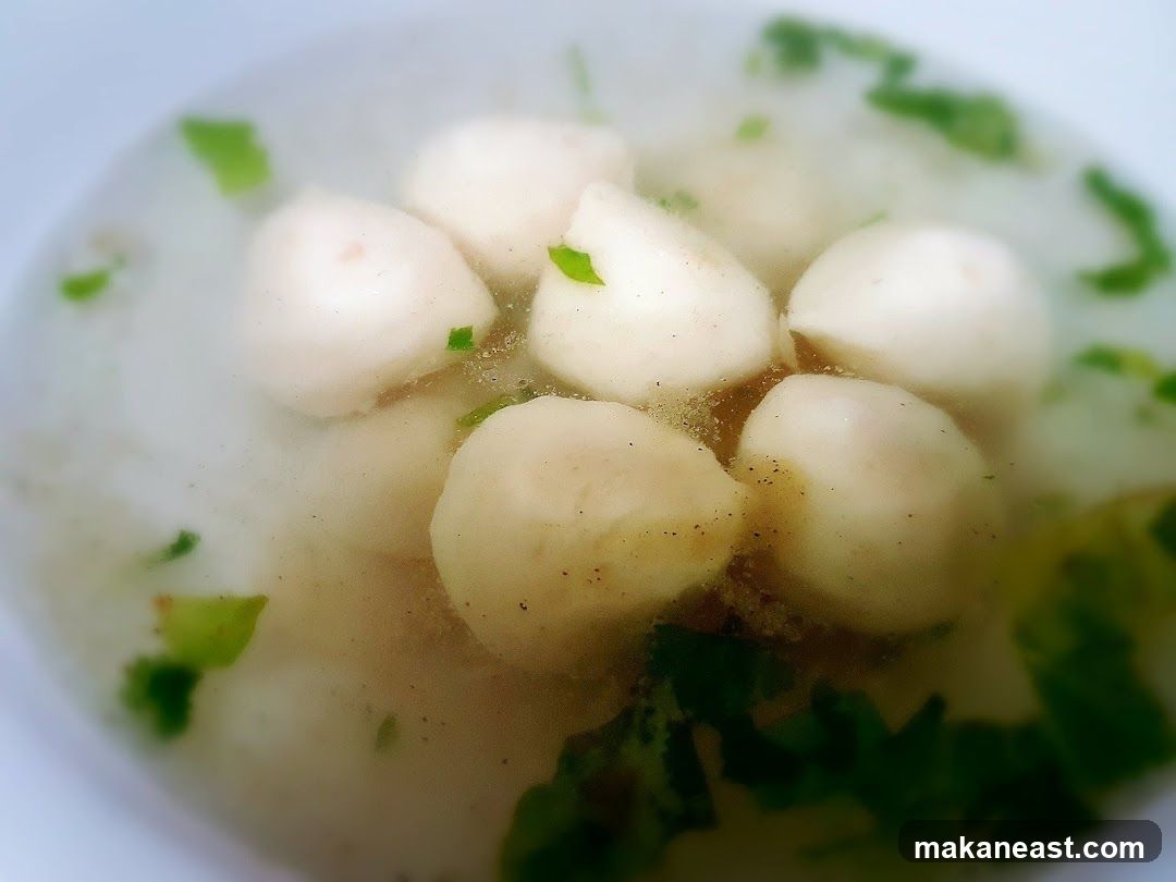 Fish Ball Soup