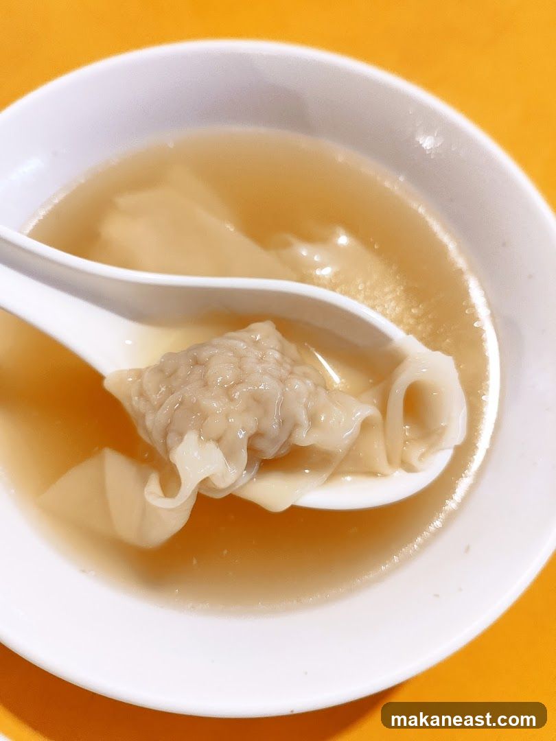 Wonton Soup