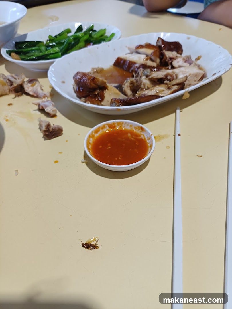 Cockroach on Table with Food