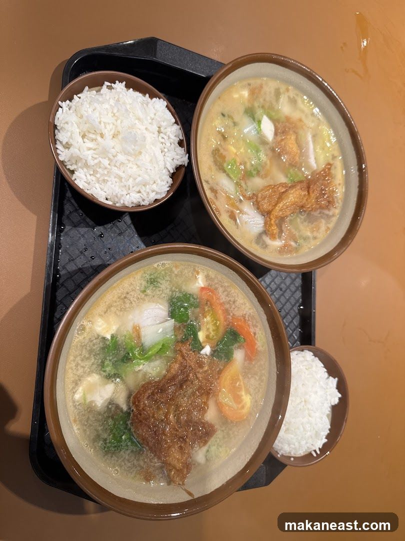 Two bowls of soup with rice
