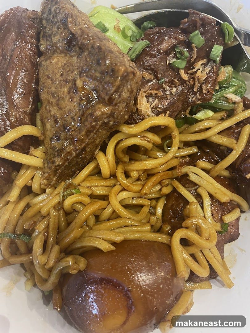 Noodles with Braised Meat and Tofu