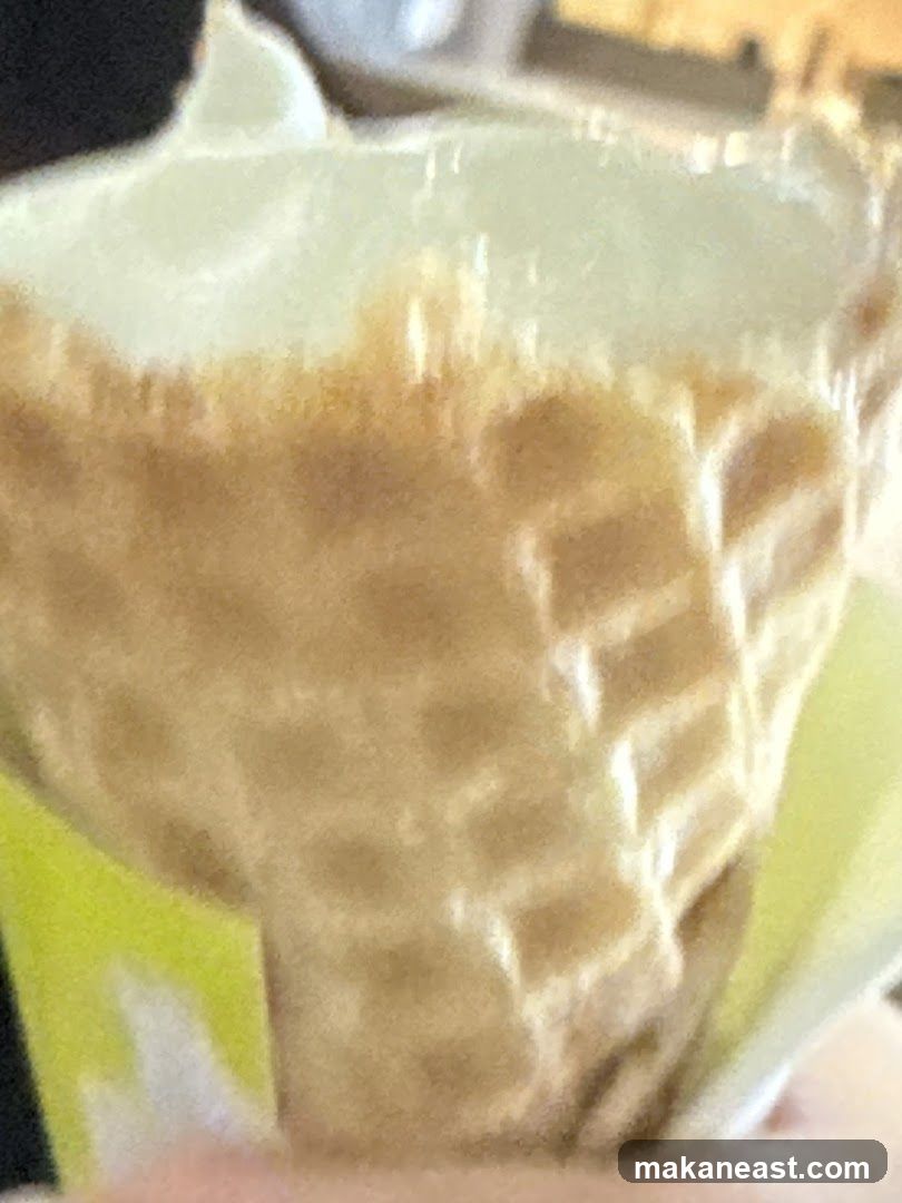 Ice Cream Cone