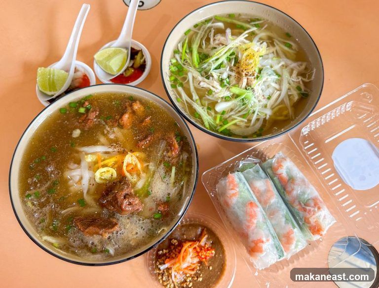 Vietnamese Noodle Soup and Spring Rolls