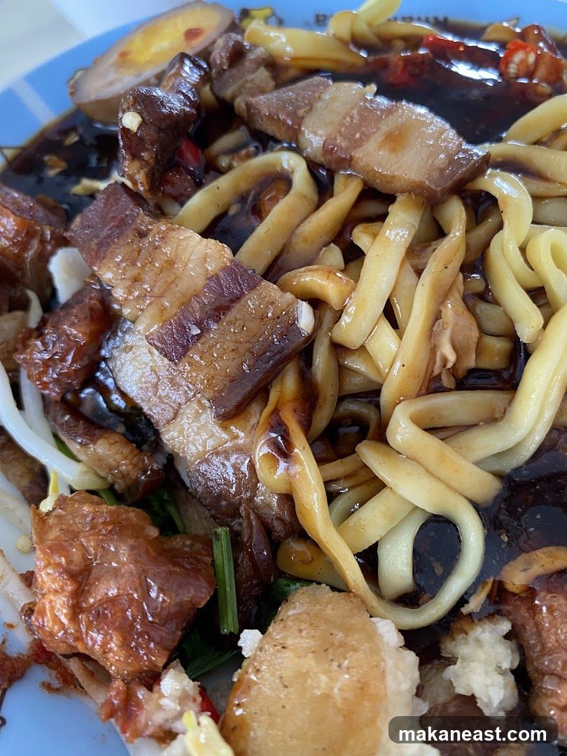 Braised Pork Noodles