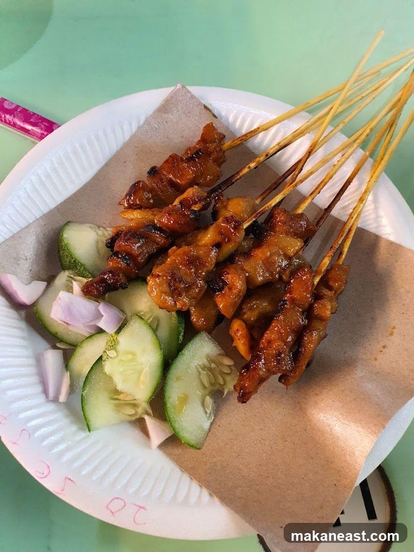 Chicken Satay with Cucumber and Onion