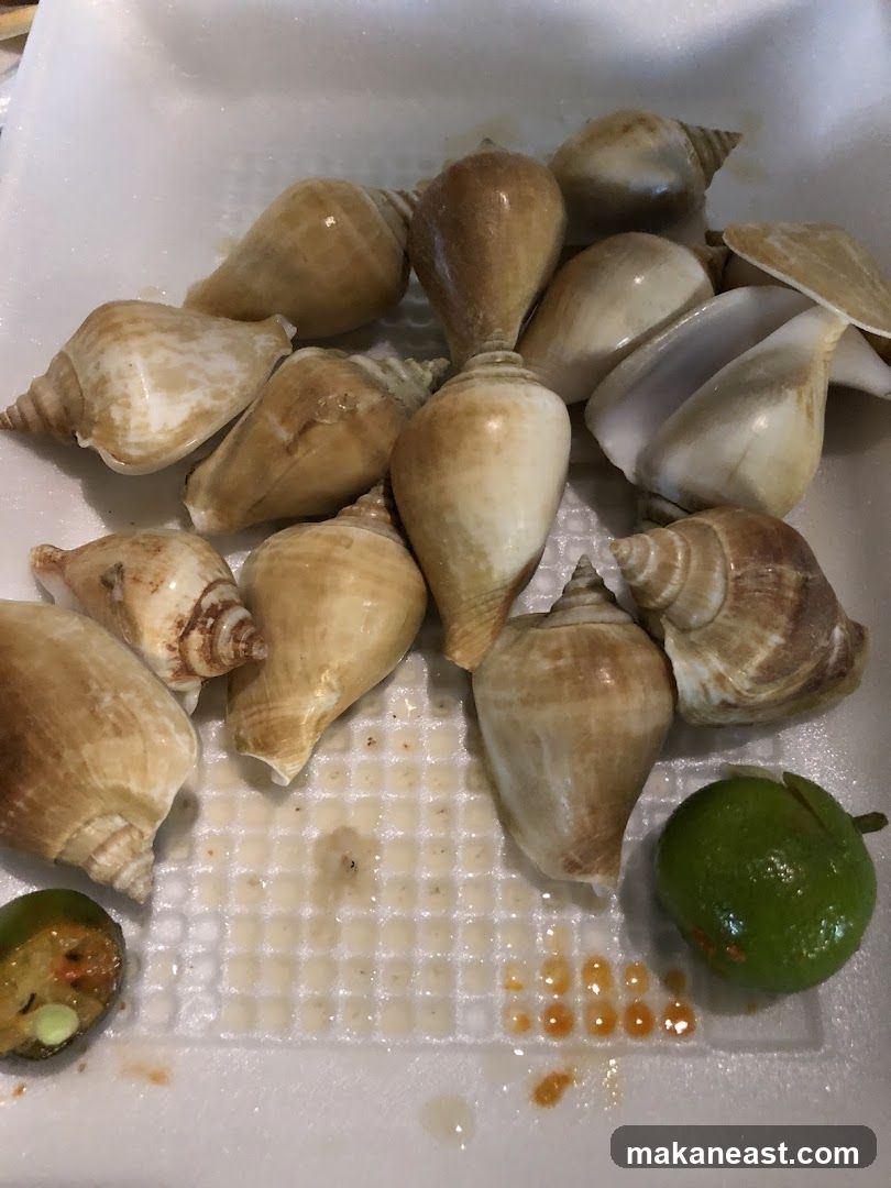 Seashells and Lime