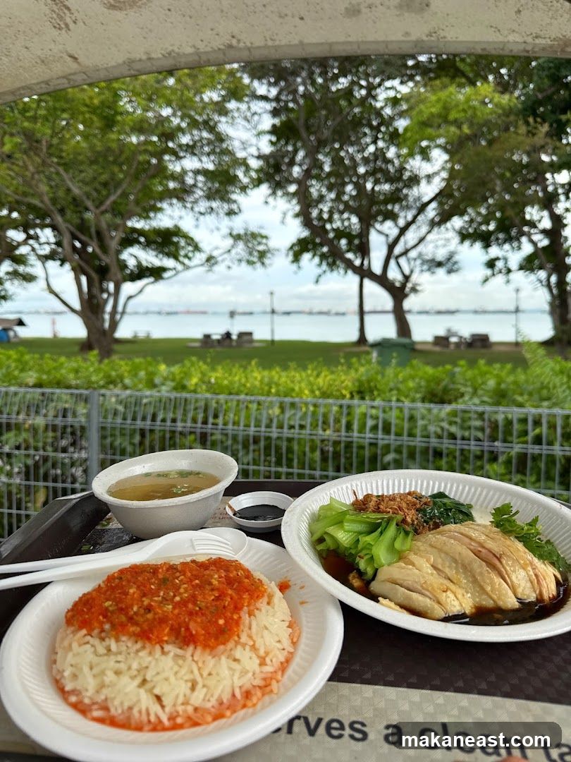 Chicken Rice Meal with Scenic View