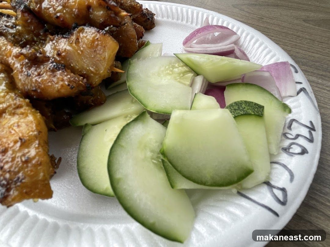 Chicken Satay with Cucumber and Onion