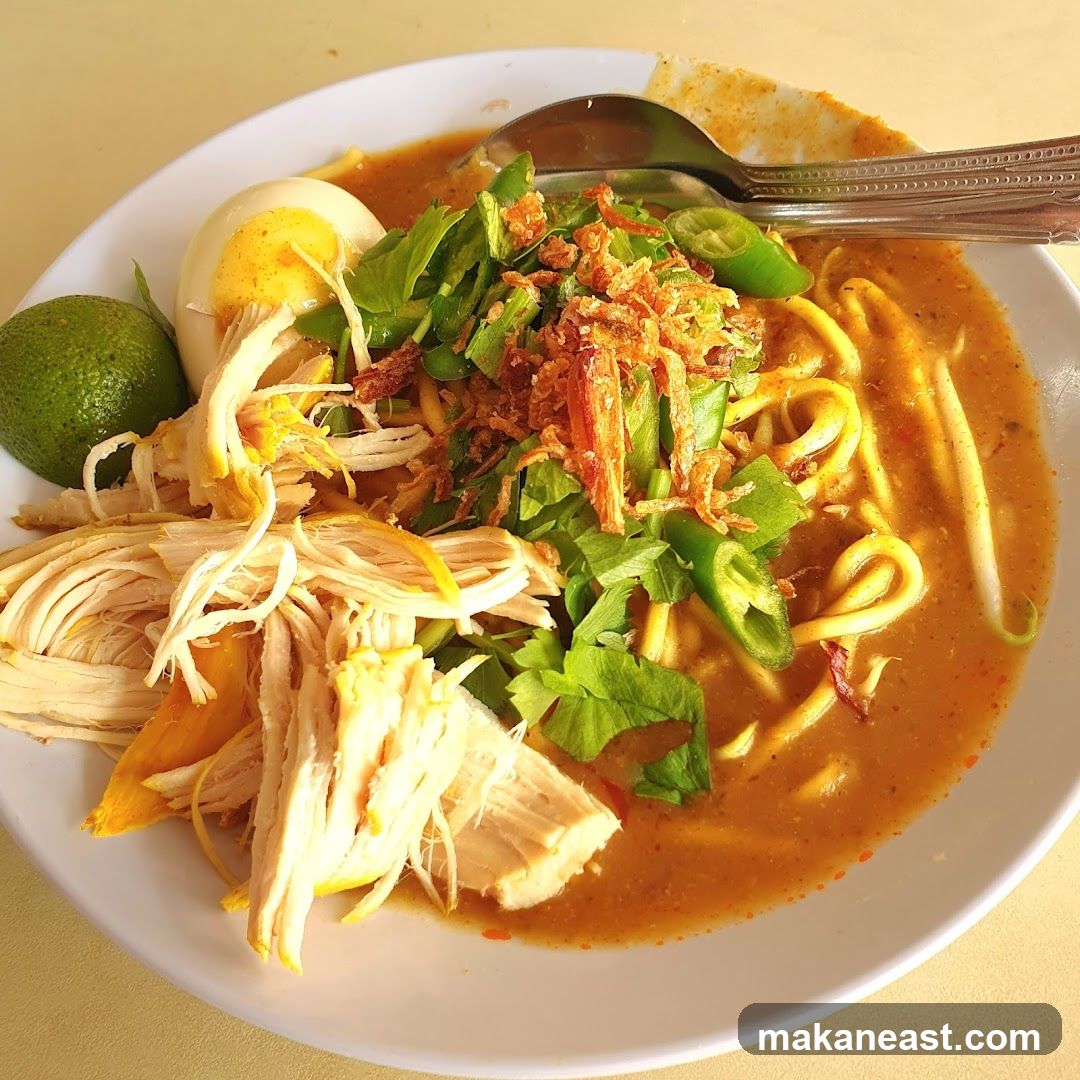 Noodle Soup with Chicken and Egg
