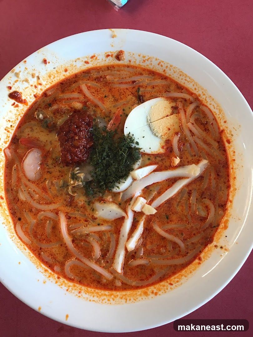 Laksa Noodle Soup