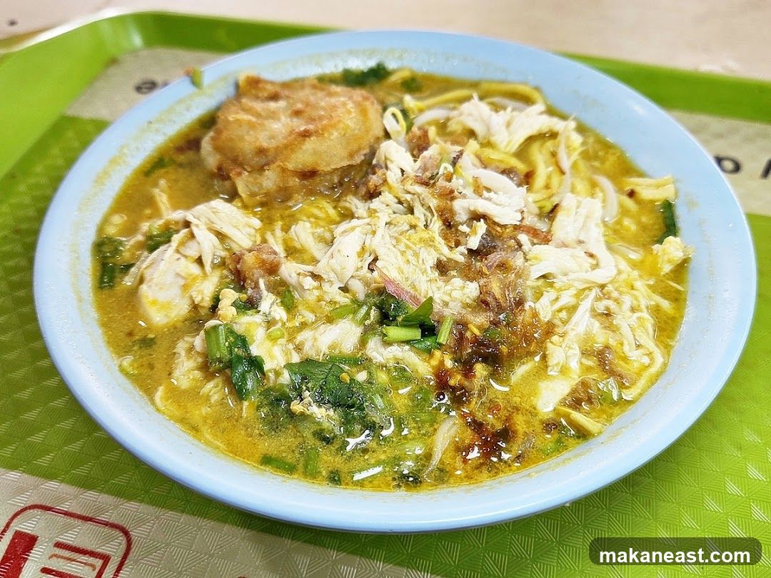 Noodle Soup with Shredded Chicken