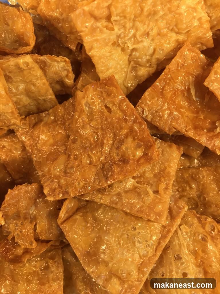 Fried Tofu Skin