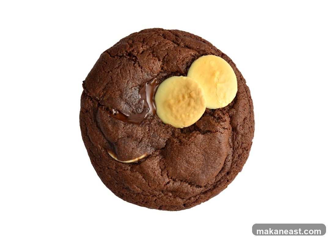 Chocolate cookie with white chocolate chips