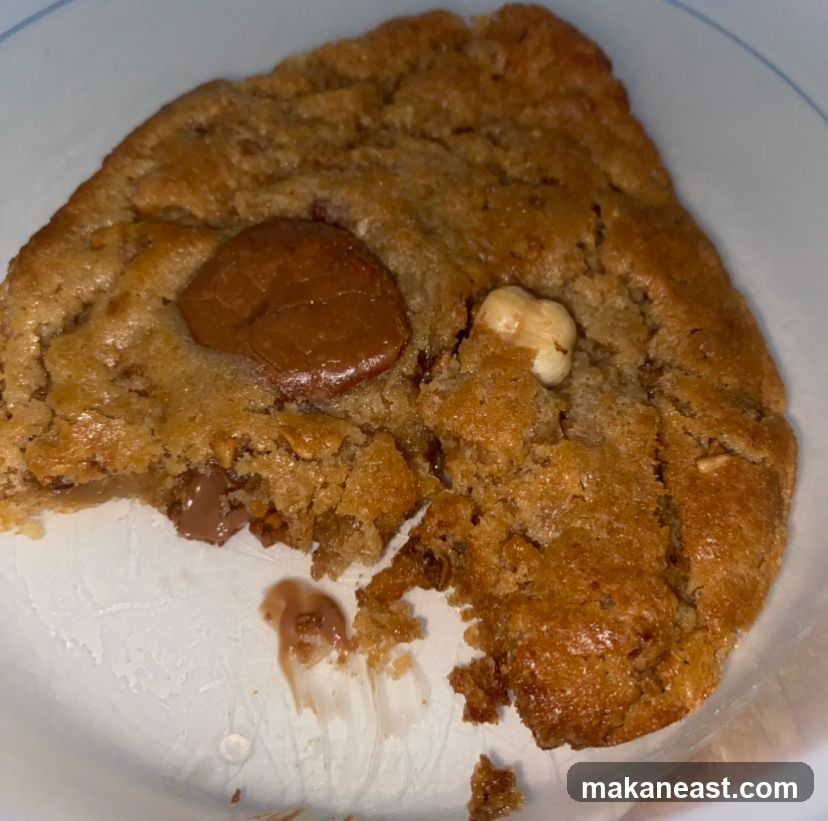 Chocolate Chip Cookie