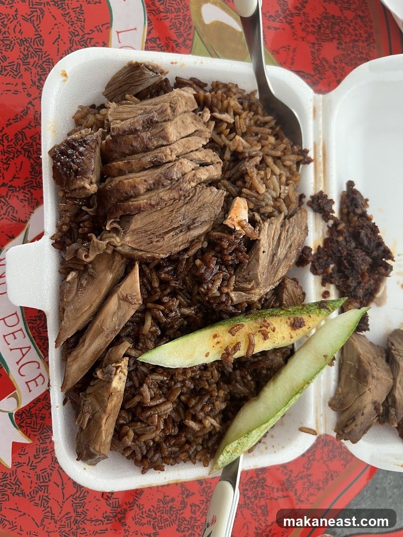 Sliced Meat and Rice