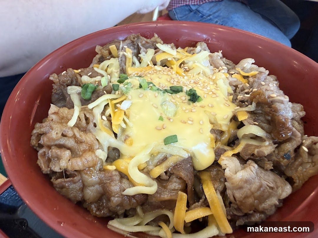 Beef Bowl with Cheese