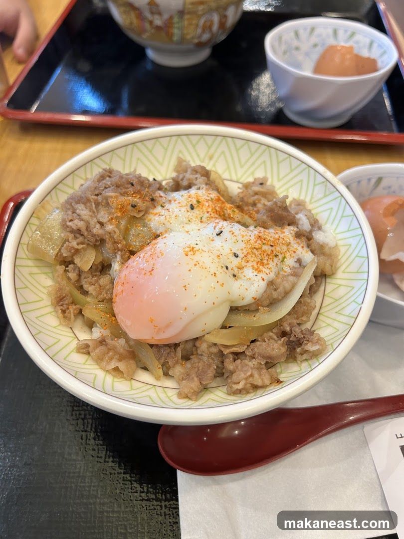 Beef Bowl with Egg