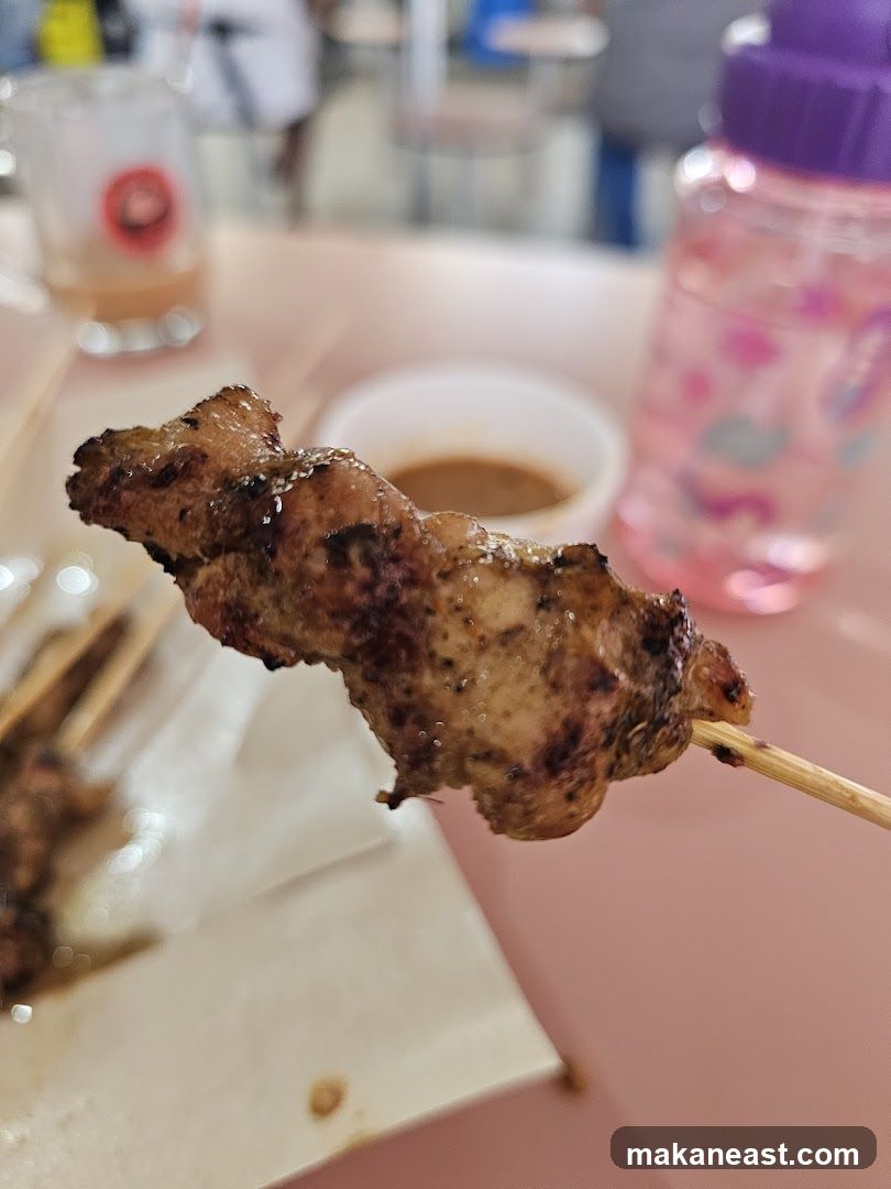 Grilled Meat Skewer