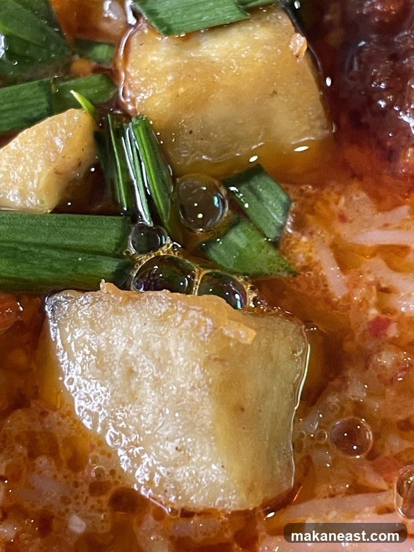 Close-up of a hearty stew with chunks of potato and green onions.