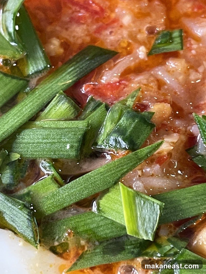 Close-up of a dish with chopped green onions and a reddish broth.