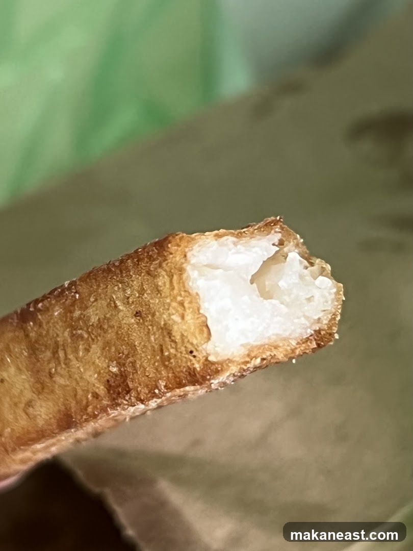 Close-up of a fried food item
