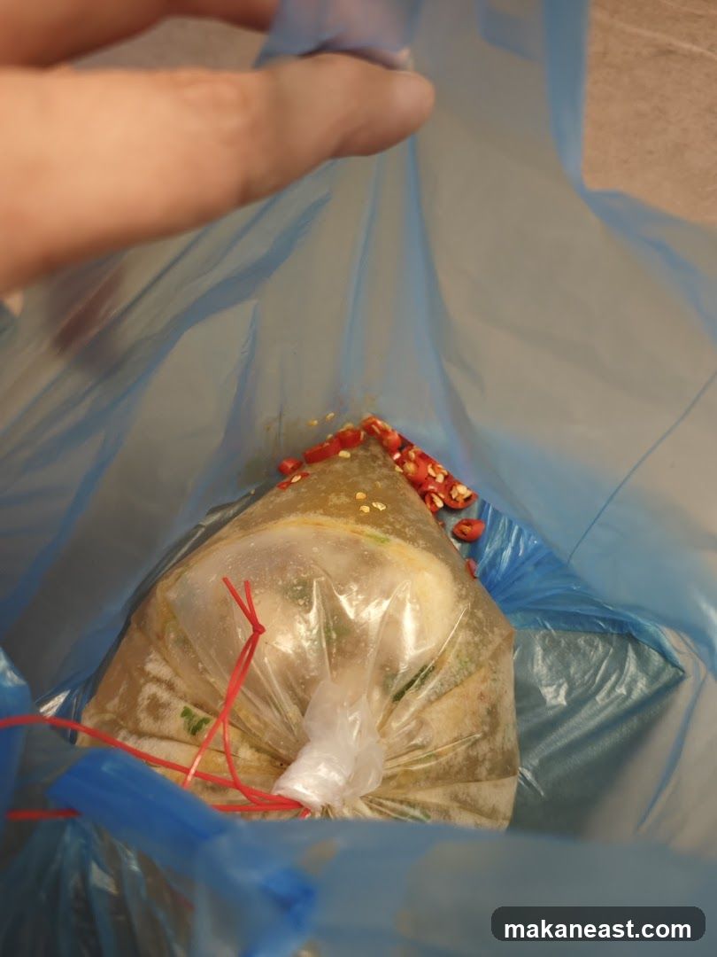 Food in a Bag