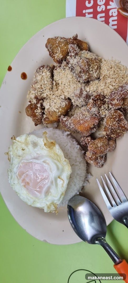 Fried Chicken with Rice and Egg