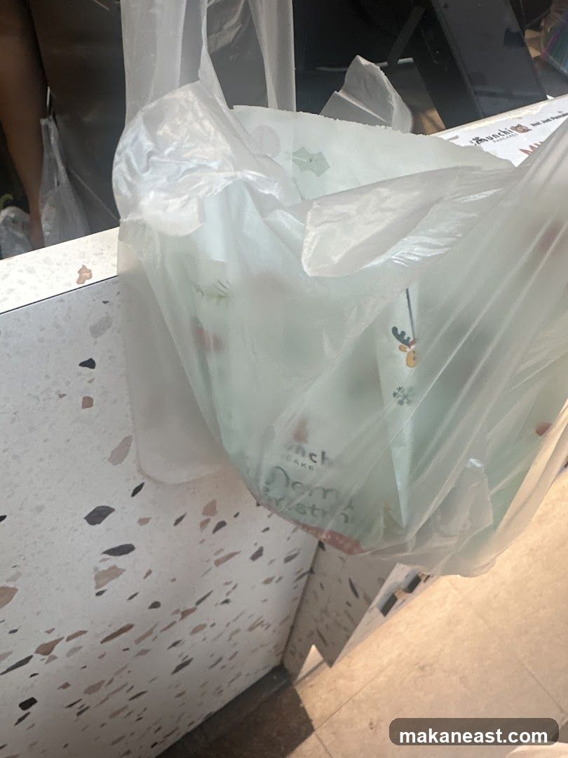 Takeaway Bags