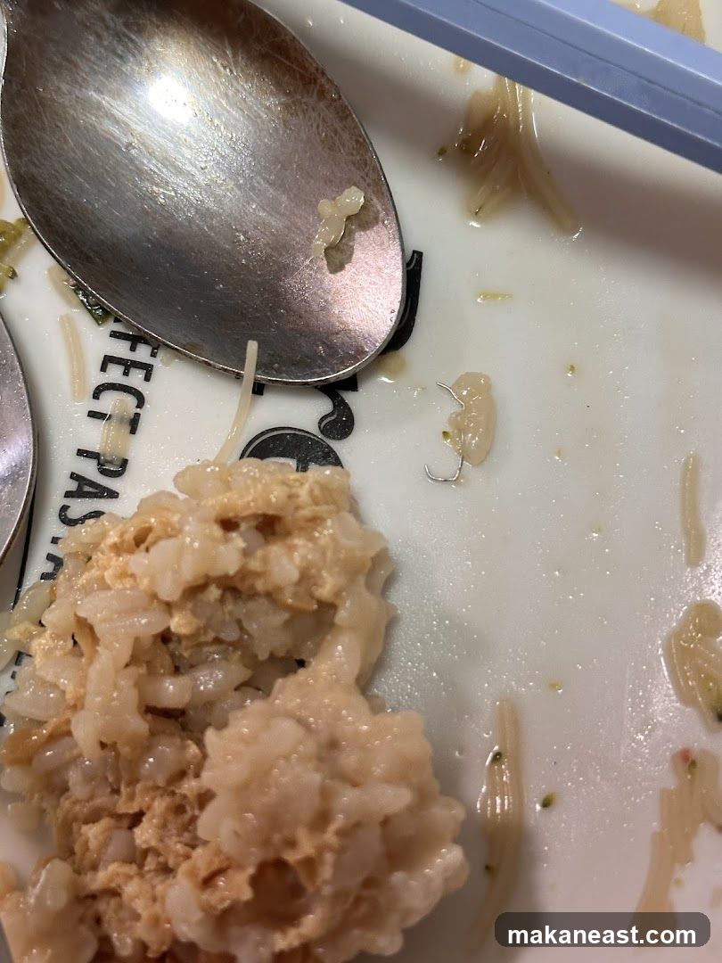 Foreign object in food