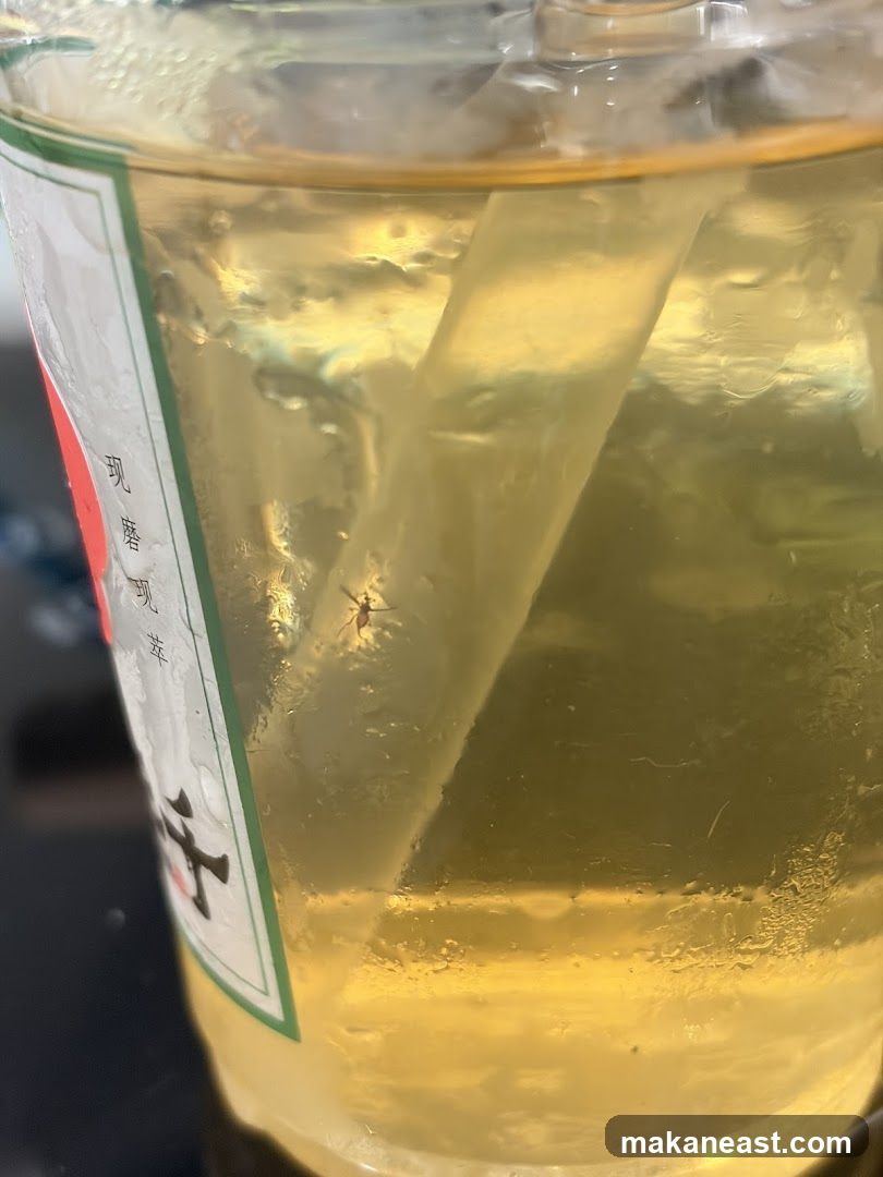 Insect in Drink