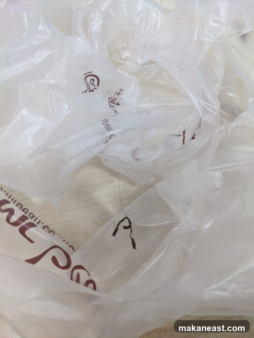 Plastic bag with debris