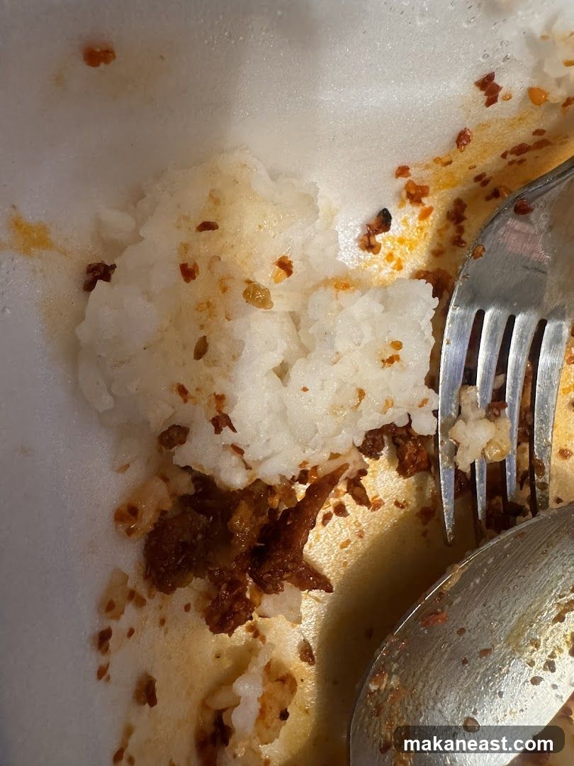 Leftover Rice and Meat