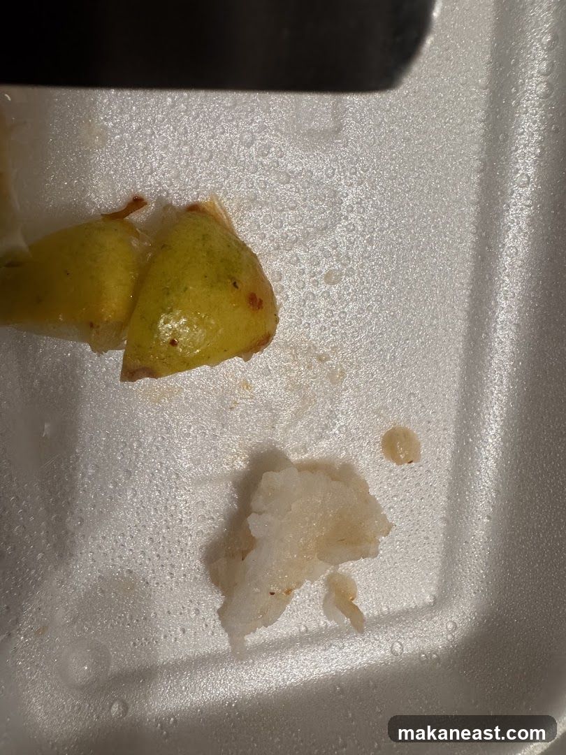 Leftover food in a container