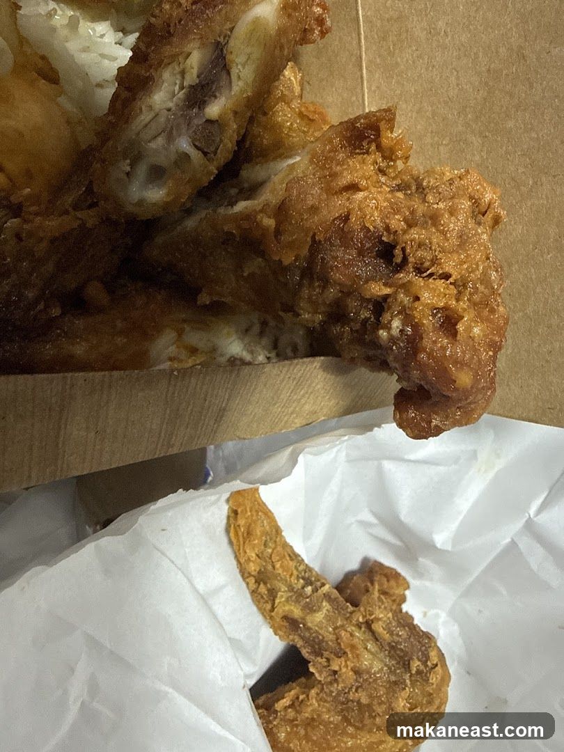 Fried Chicken Wings and Rice