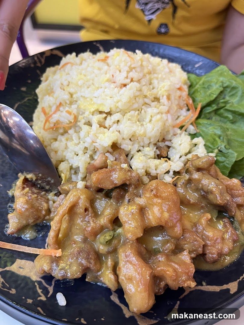Curry Chicken with Fried Rice